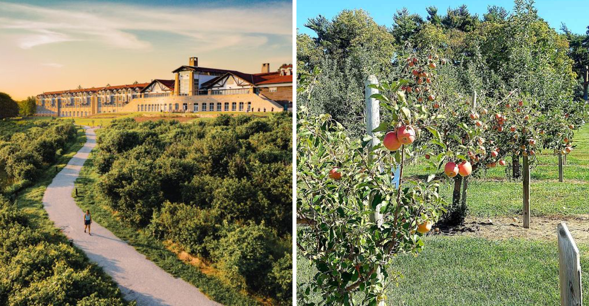 Pick Your Own Nebraska Apples Let You Experience Farm Life All Season Long - Decor Hint