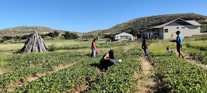 Getting To The Farm