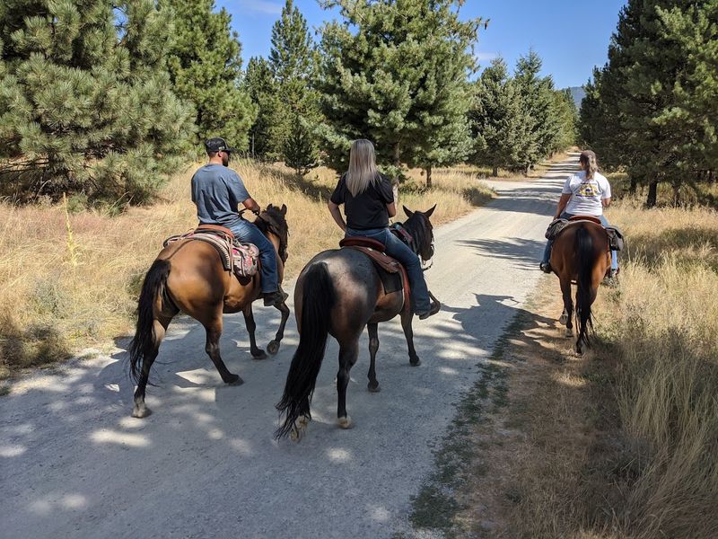 Horseback Riding Through The Forest