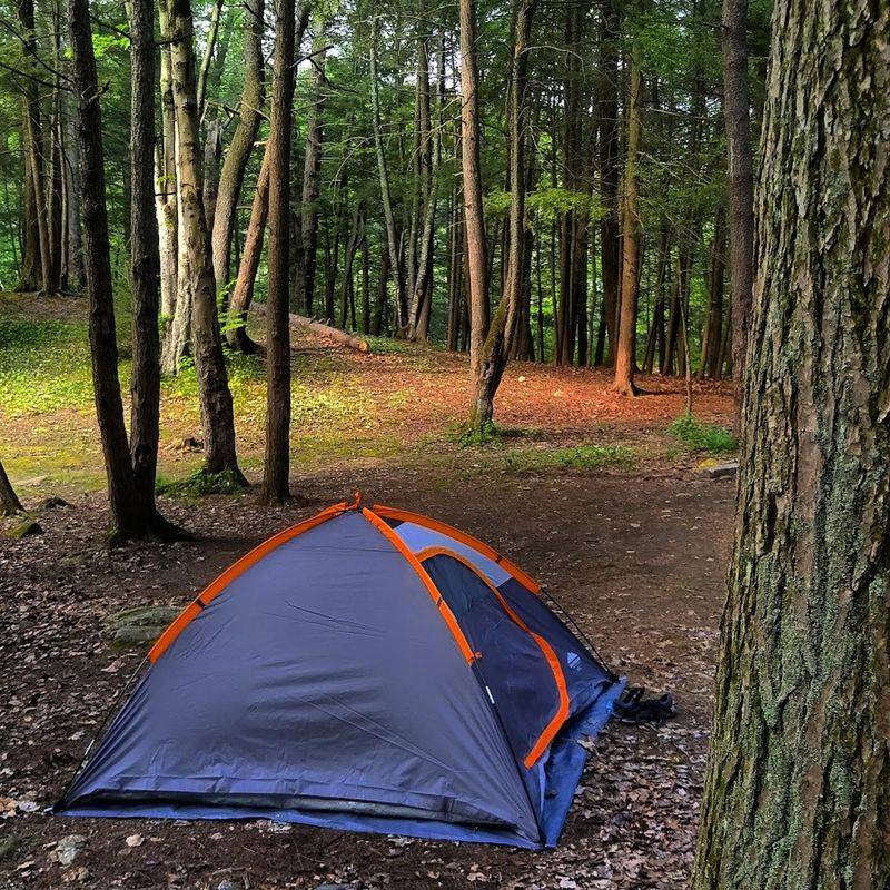 A Campground Close To The Shoreline
