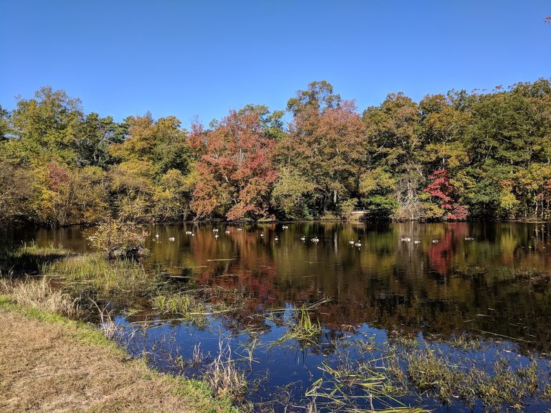 This Charming New Jersey State Park Is Full Of Quiet Beauty And History - Decor Hint Tips For Making The Most Of Your Visit