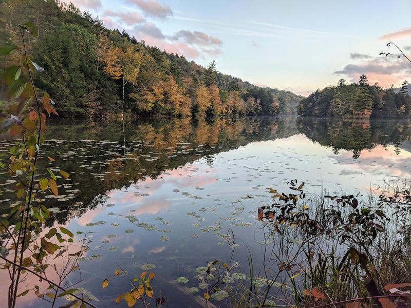 Fall Foliage Turns This Place Into Pure Color Overload