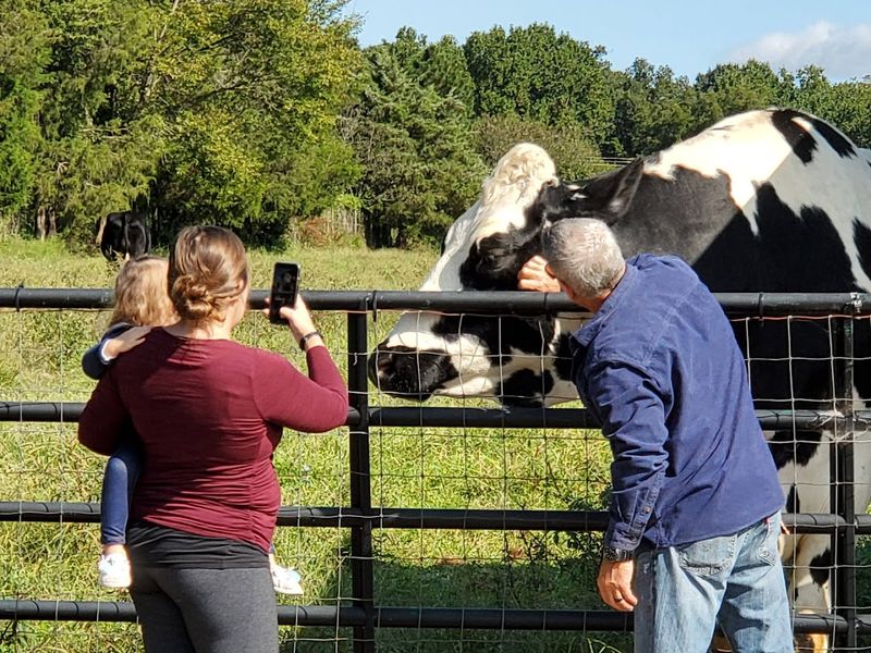 9 North Carolina Wildlife Sanctuaries And Rescue Centers Where You Can Meet Animals Face-To-Face - Decor Hint Rescue Ranch
