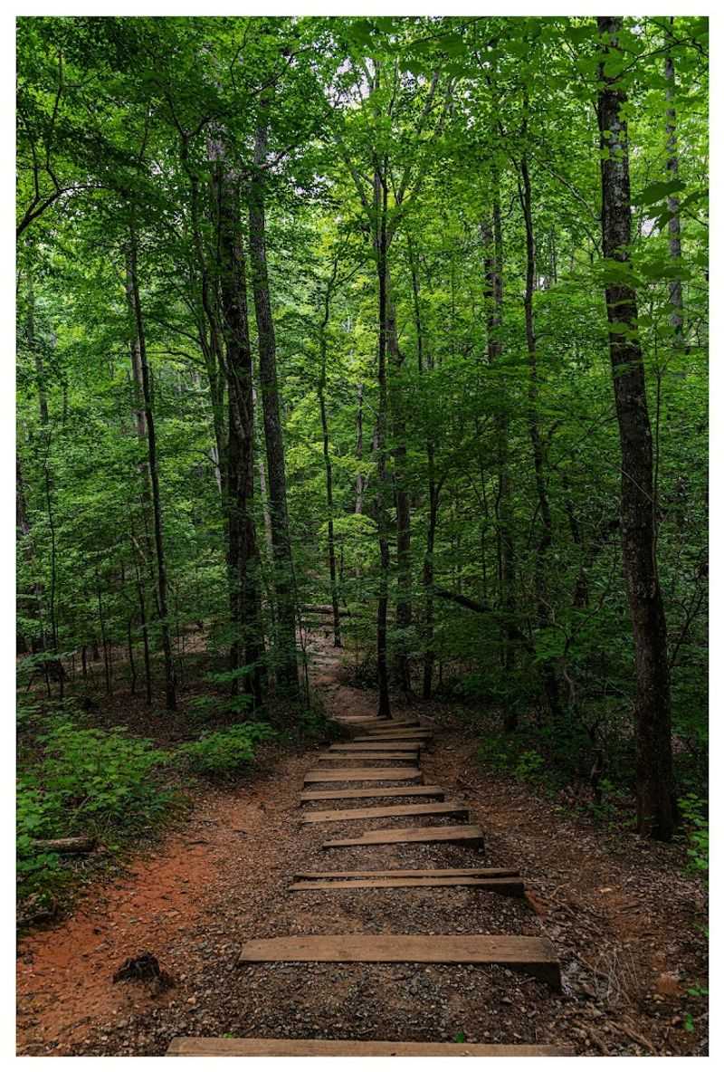 Crowders Mountain State Park - TRACK Trail