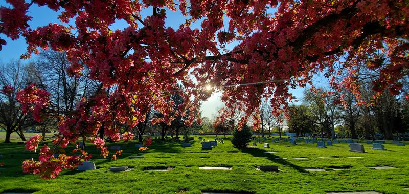 Morris Hill Cemetery, Boise