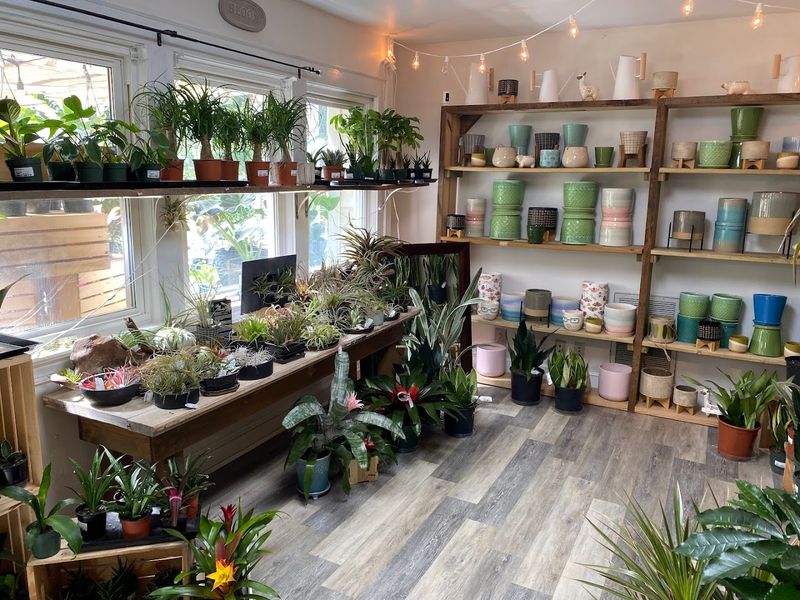 Hands-On Classes Beyond The Greenhouse Aisles