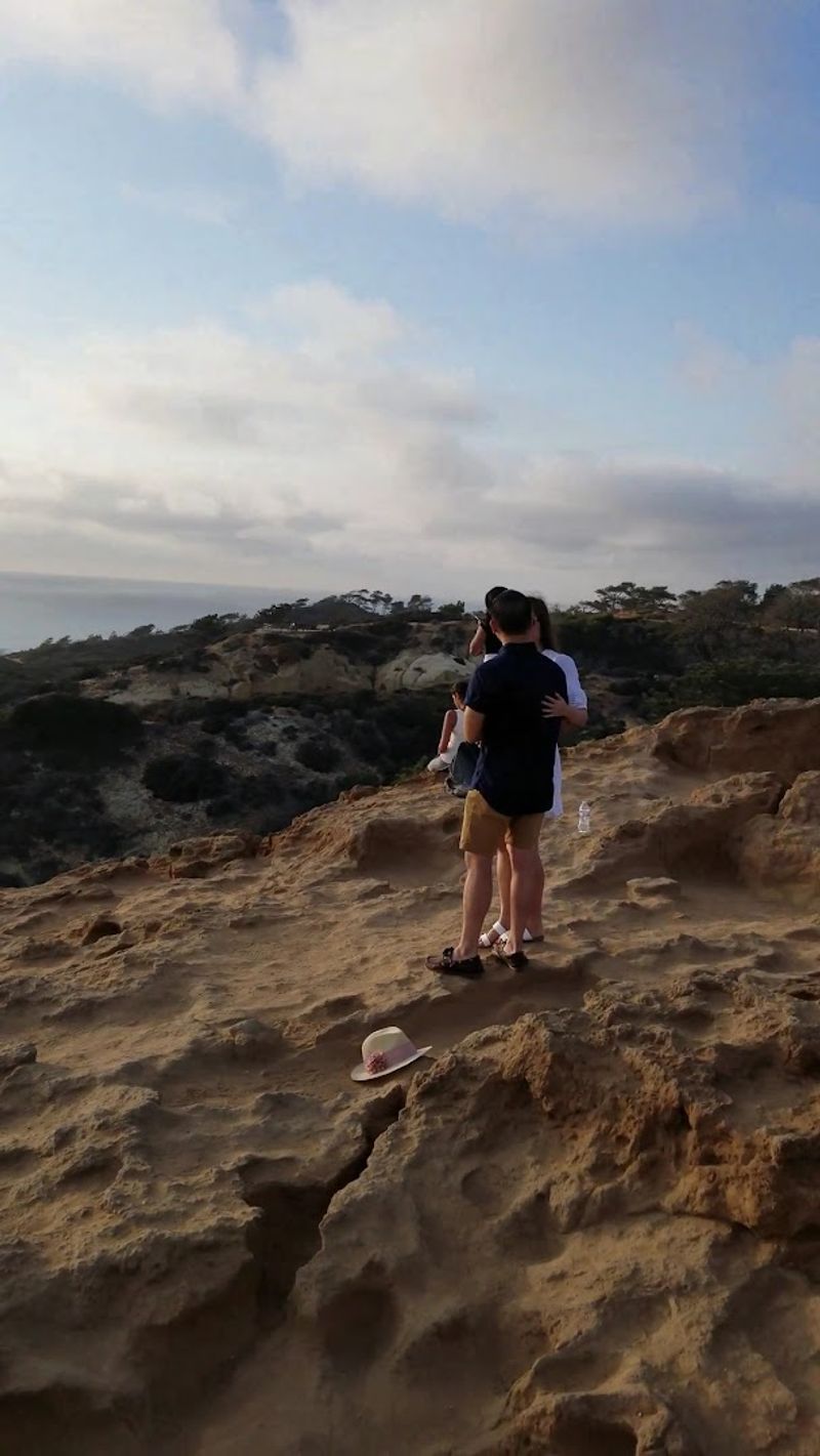 14 California Scenic Walks That Do Not Take Long But Still Deliver Big Views - Decor Hint Razor Point Trail, Torrey Pines State Natural Reserve