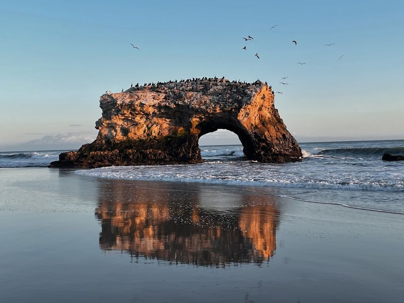 Natural Bridges State Beach, Santa Cruz