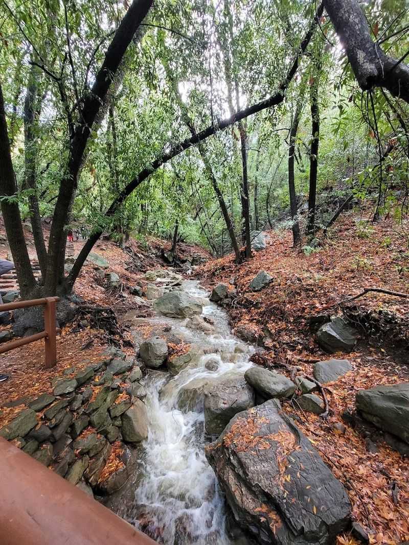Solvang — Nojoqui Falls Park, Danish-Style Downtown, and Paula's Pancake House