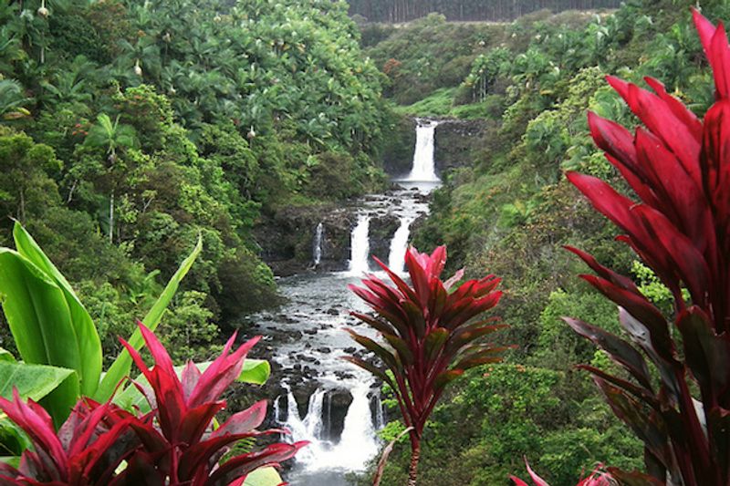 Akaka Falls State Park
