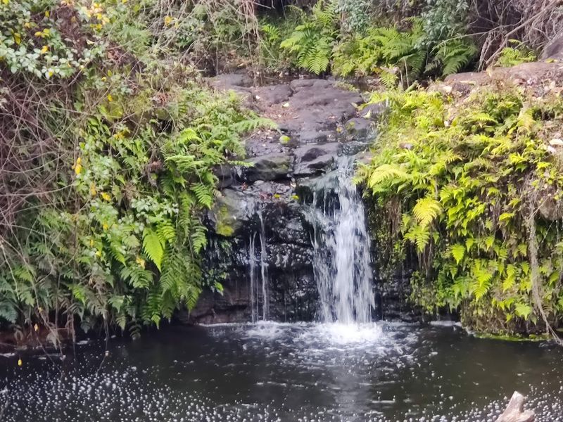 Bulls Bay Preserve