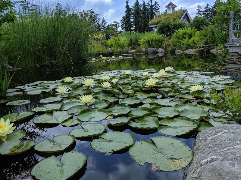 Coastal Maine Botanical Gardens