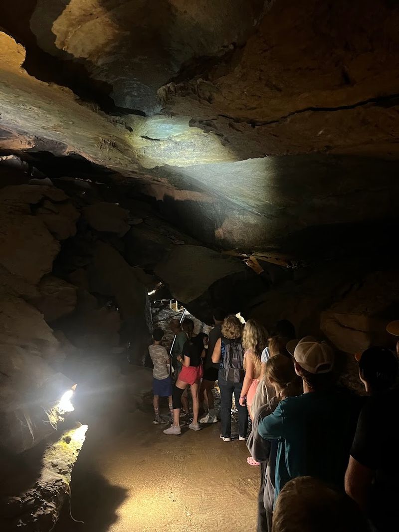 The Guided Tour Experience