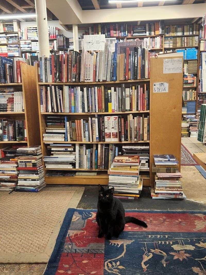 The Famous Resident Cats