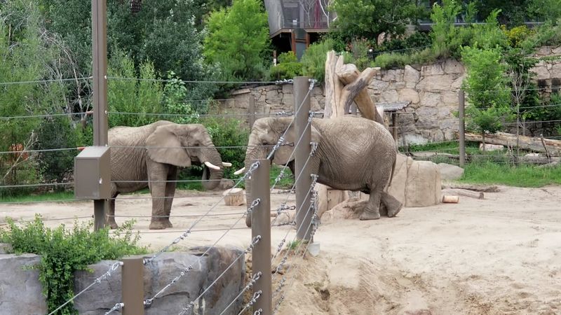 Conservation At The Core