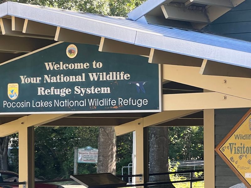 Why This Place Deserves Your Attention