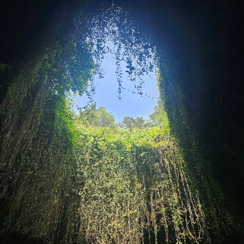 Florida Has A Natural Pool So Ancient And Otherworldly That Swimming In It Feels Like Diving Into Another Era - Decor Hint Why This Place Stays With You