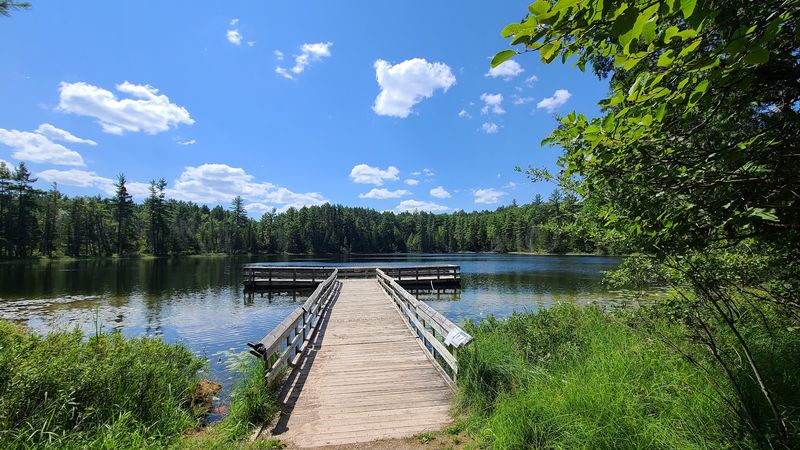 Hartwick Pines State Park