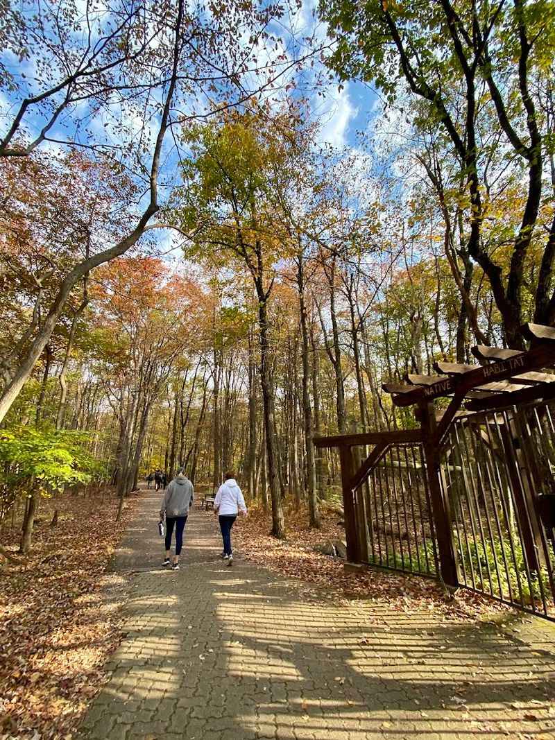 Hawk Mountain Sanctuary