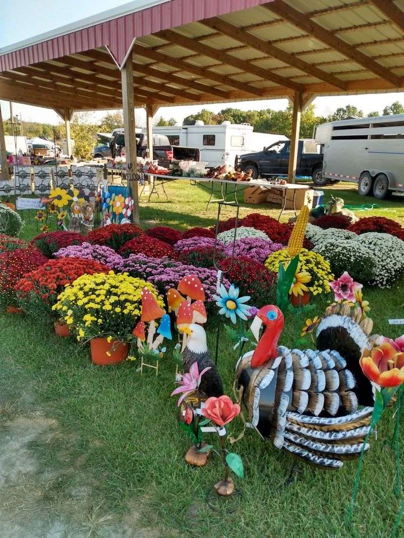 Why Missouri Shoppers Keep Coming Back Season After Season