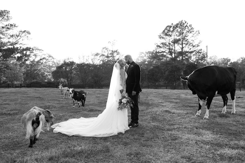 A Working Farm Element That Adds Genuine Character