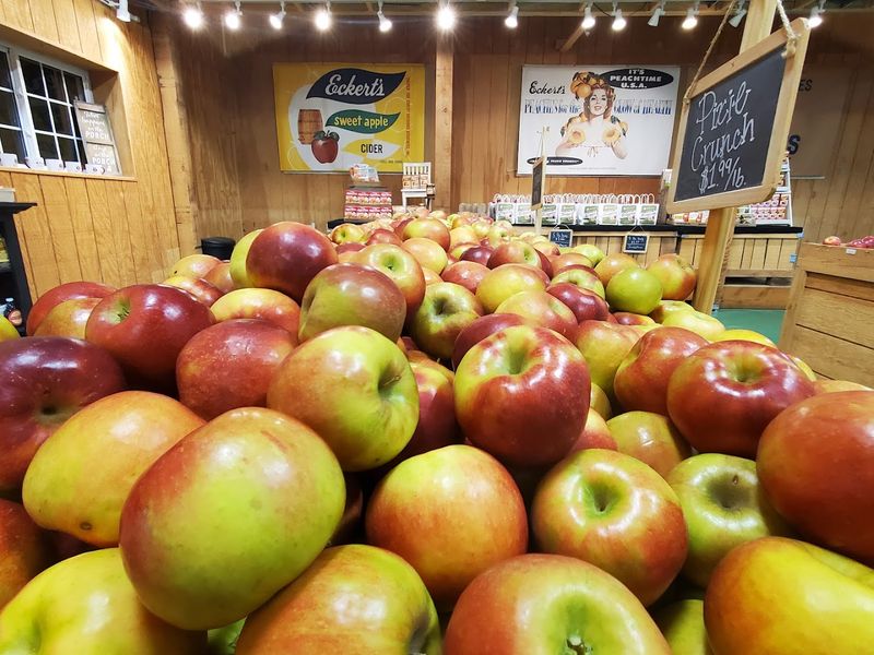 Apple Cinnamon Donuts That Earn Their Own Fan Club