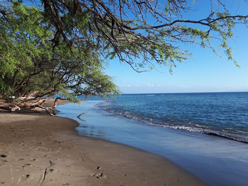 Olowalu Beach