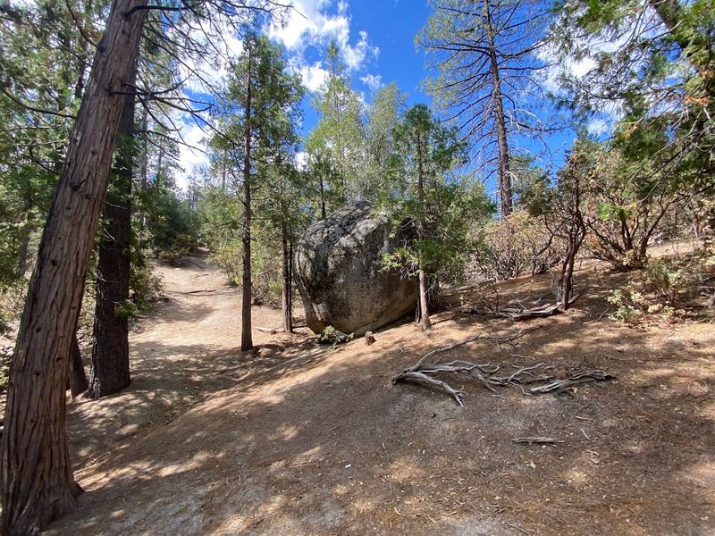 Idyllwild Nature Center Trails, Idyllwild