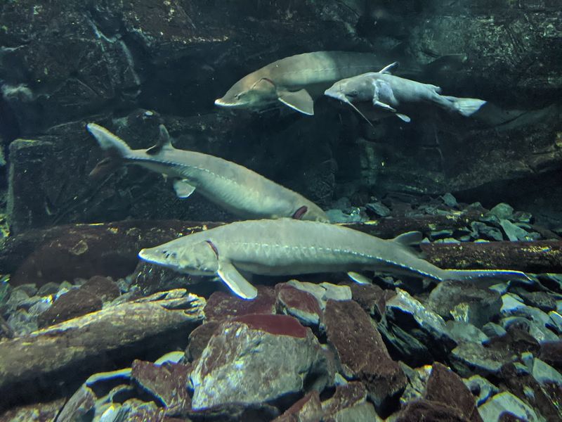 ECHO, Leahy Center For Lake Champlain