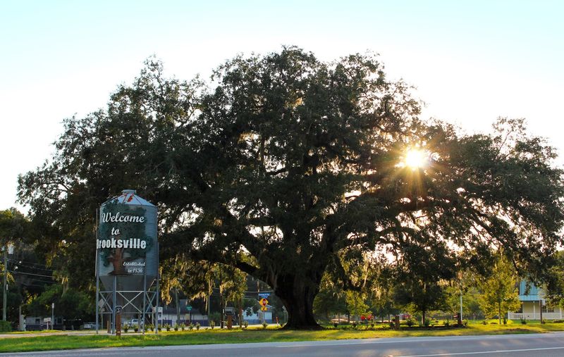 These Affordable Florida Cities Where Lower Costs Still Go Further - Decor Hint Brooksville