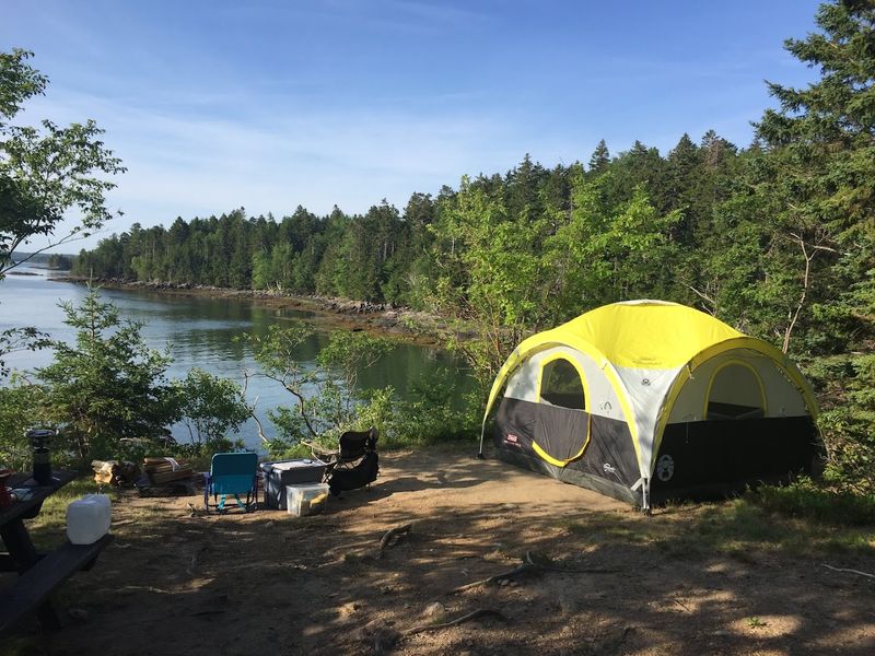 The Best Wildlife Experiences In Maine Are Hiding In These Stunning Locations - Decor Hint Cobscook Bay State Park