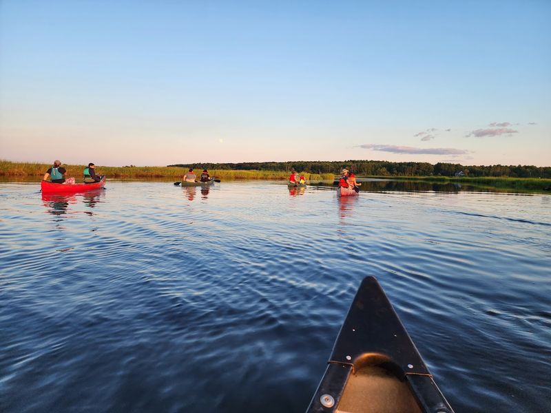 The Best Wildlife Experiences In Maine Are Hiding In These Stunning Locations - Decor Hint Scarborough Marsh Audubon Center