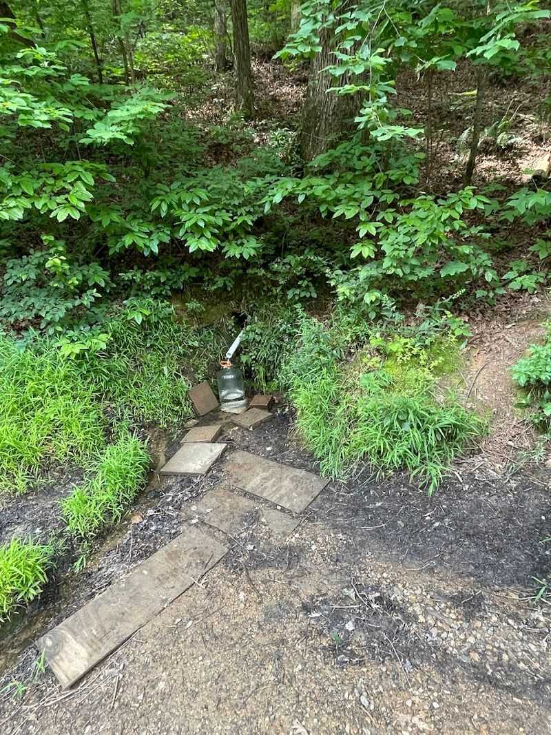 Beasley Gap Spring