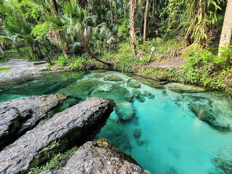 Rock Springs Run At Kelly Park