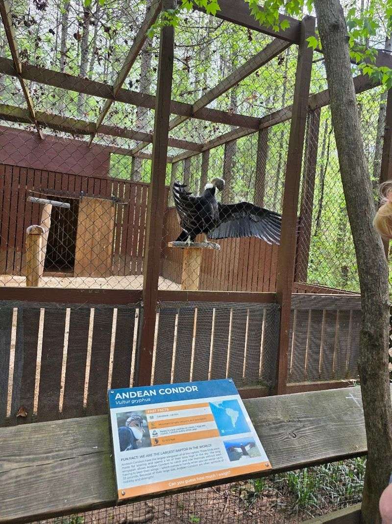Conservation And Rescue Mission
