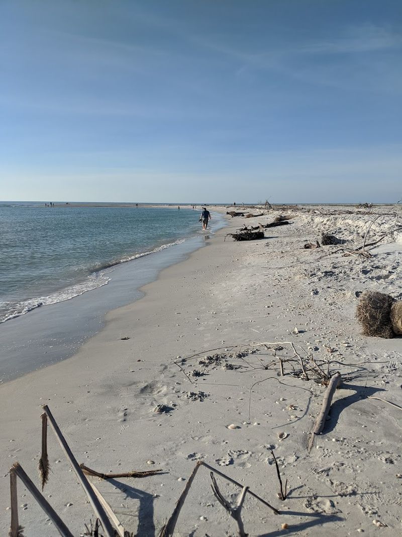 Sea Turtle Nesting Season On The Beach