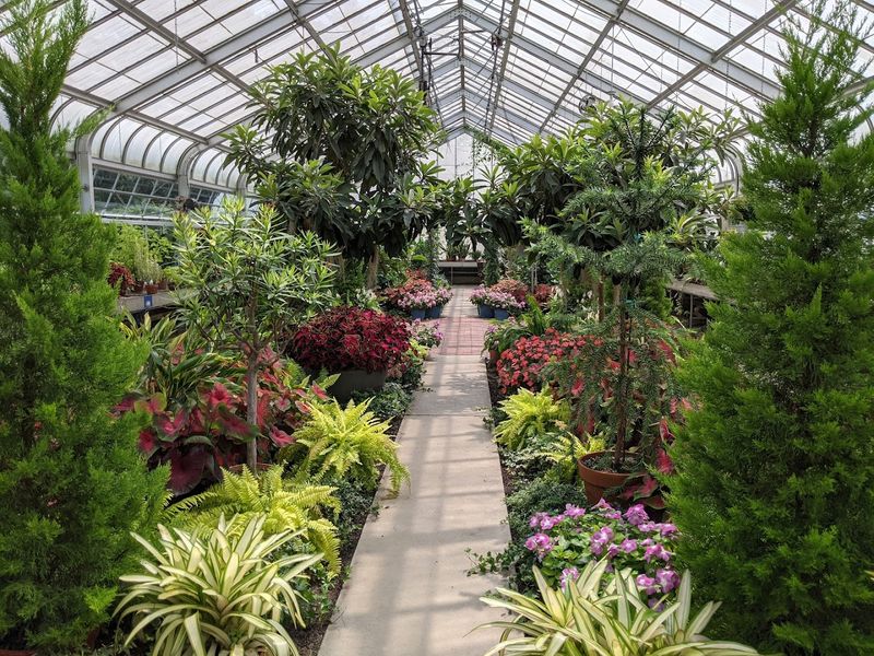 Inside The Conservatory Domes