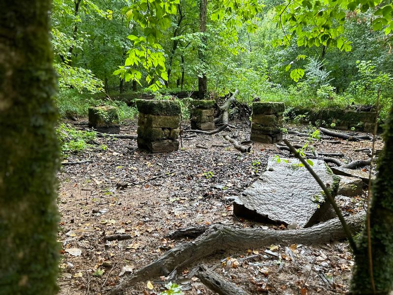 The Mysterious Manager's House Hidden Deep In The Woods