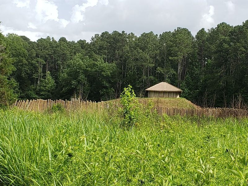 The Pee Dee Culture Story