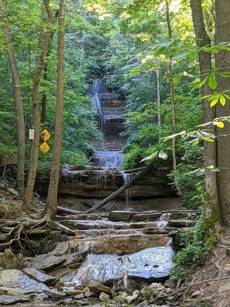 Tioga Falls Trail