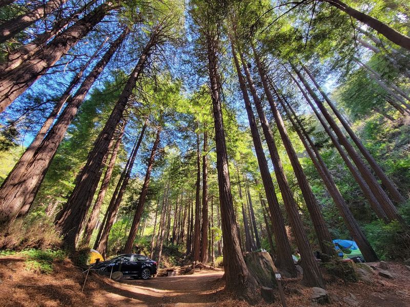 Limekiln State Park, Big Sur