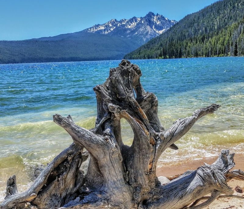 Stanley's Famous Alpine Lake Still Feels Unbelievably Clean
