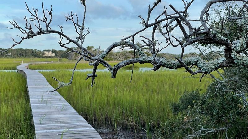 Cycling Through Maritime Forest Trails
