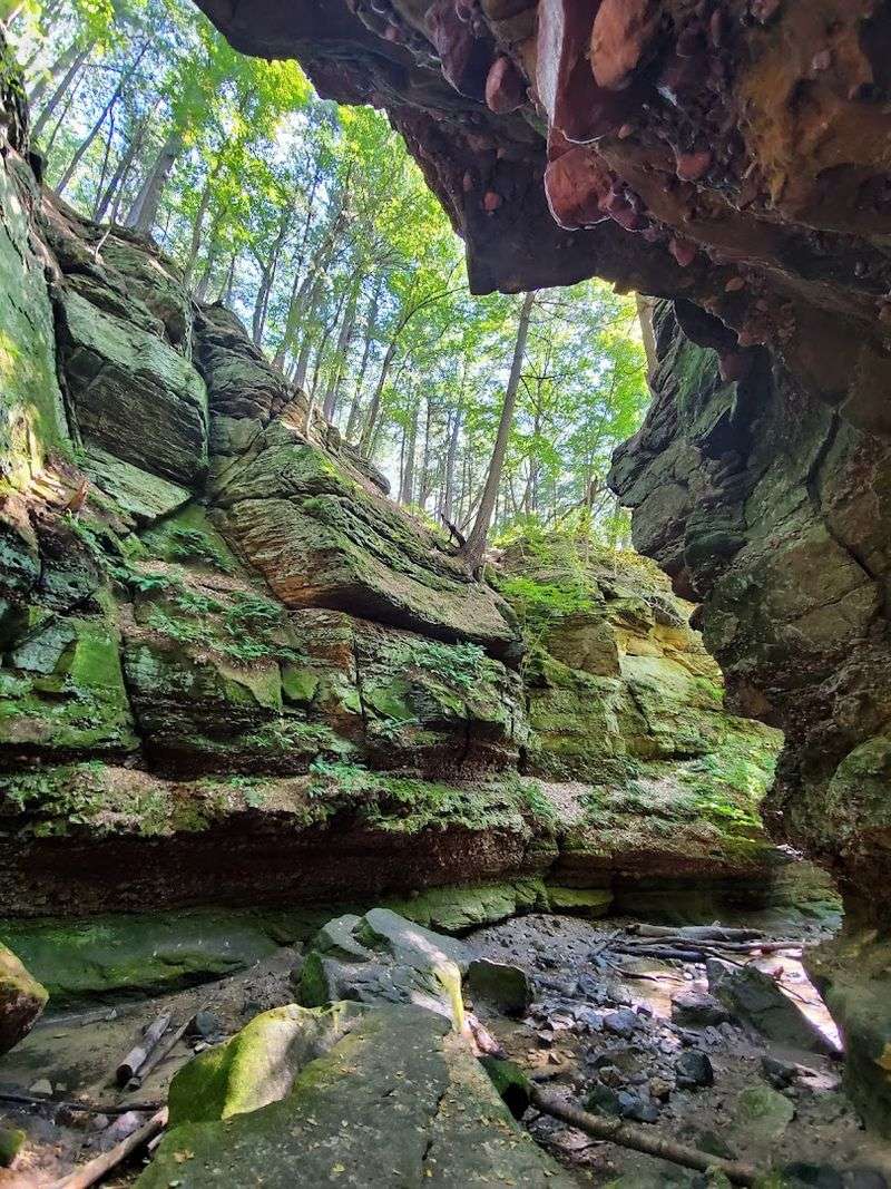 Parfrey's Glen State Natural Area