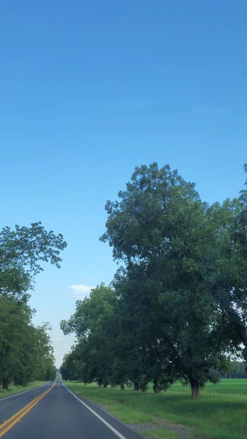 Georgia's Natural Beauty Right Outside Your Door