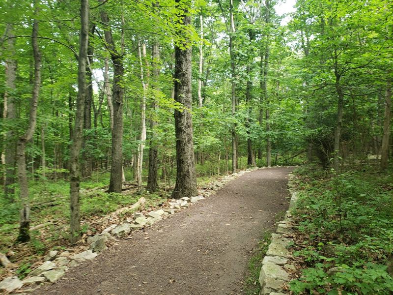 Hawk Mountain Sanctuary
