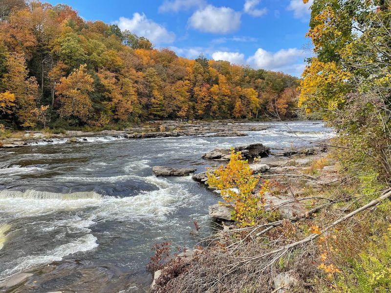 Ohiopyle State Park
