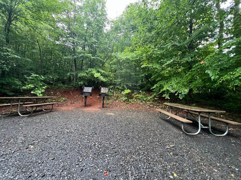 Picnic Areas Built For Lingering