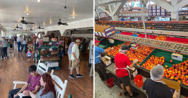 Road Trippers Can’t Stop Talking About The Peach Ice Cream At This Georgia Farm Café