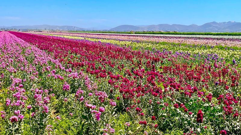 The Best Route Turns The Visit Into A Scenic Drive